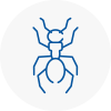 Ant Removals In Woodbridge
