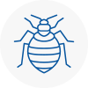 Bed Bug Extermination In Woodbridge