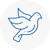 Bird Prevention Woodbridge