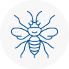 Woodbridge Hornet Nest Removals