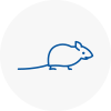 Mice Exterminators In Woodbridge