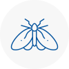 Moth Control Specialists In Woodbridge