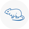Rat Control Woodbridge