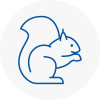 Woodbridge Rodent Removals