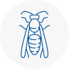 Woodbridge Wasp Nest Removal